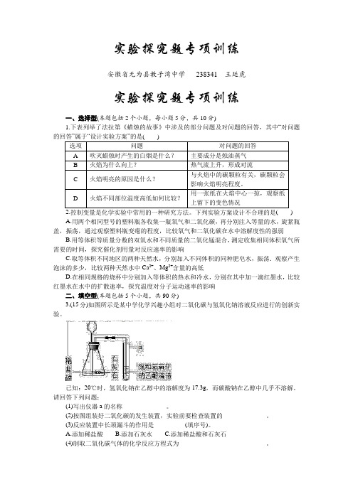 2020年中考化学第二轮专题复习：实验探究题专项训练(含解析)