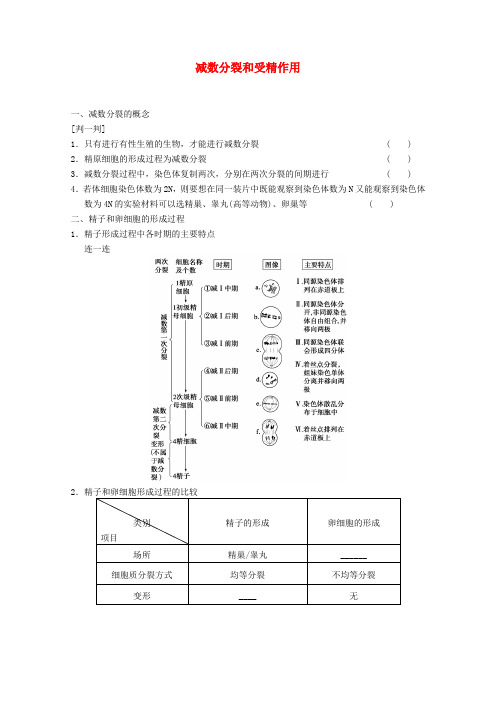 高三生物一轮复习 第四单元 减数分裂和受精作用教案