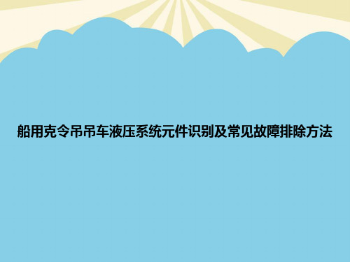 【正式版】船用克令吊吊车液压系统元件识别及常见故障排除方法PPT资料