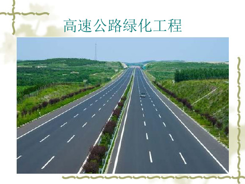 高速公路绿化工程