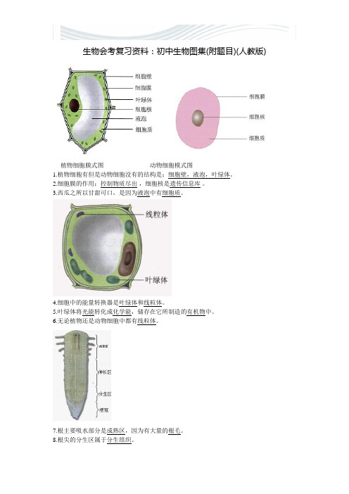 生物会考复习资料：初中生物图集(附题目)七年级上[精品文档]