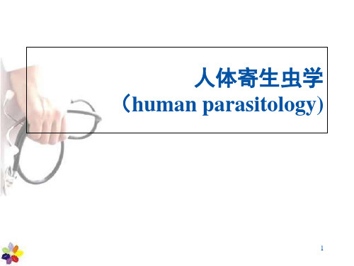 寄生虫检验技术--人体寄生虫学  ppt课件