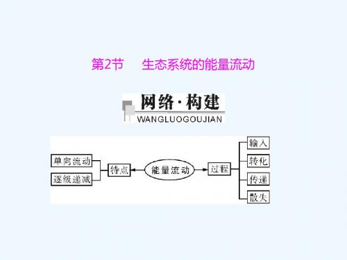 2018年高中生物 第五章 生态系统及其稳定性 5.2 生态系统的能量流动讲义1 新人教版必修3