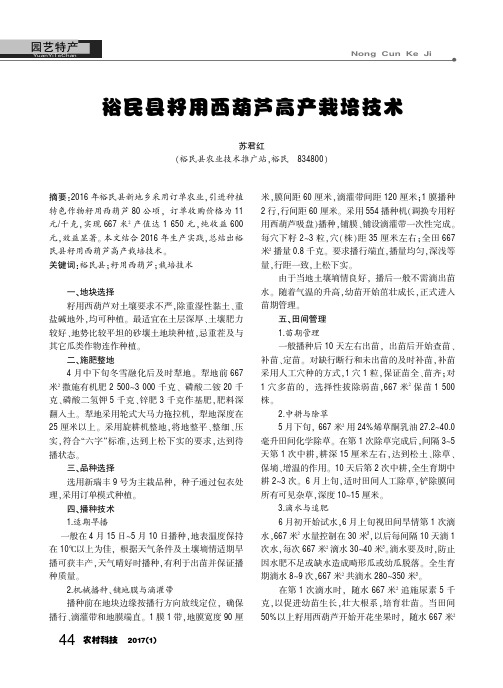 裕民县籽用西葫芦高产栽培技术