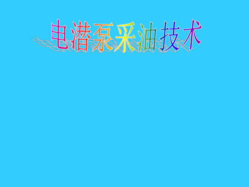 电潜泵的详细介绍