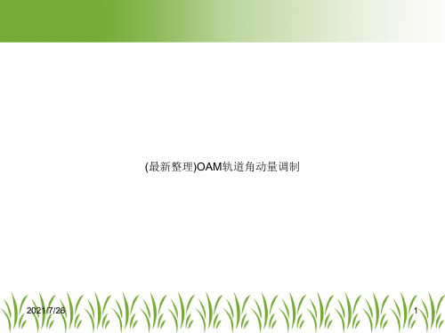 (最新整理)OAM轨道角动量调制