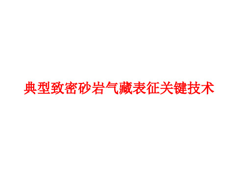 典型致密砂岩气藏表征关键技术