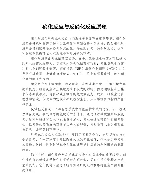 硝化反应与反硝化反应原理