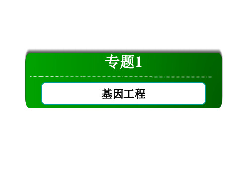 2020-2021学年生物人教版选修3课件：1-2 基因工程的基本操作程序