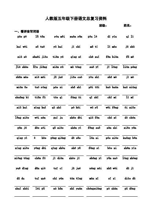 小学语文：人教版五年级下册总复习资料汇总