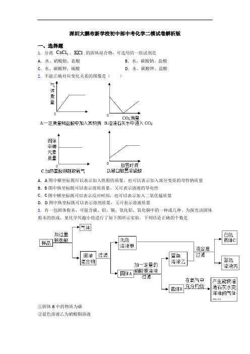 深圳大鹏布新学校初中部中考化学二模试卷解析版