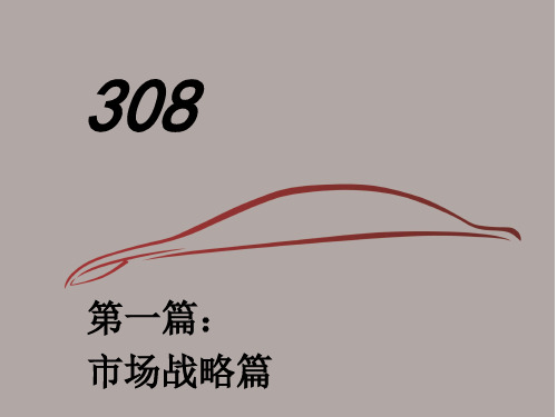 308产品手册