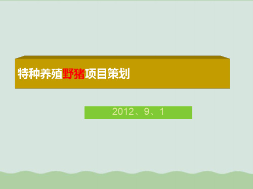 特种养殖野猪养殖项目策划方案PPT课件