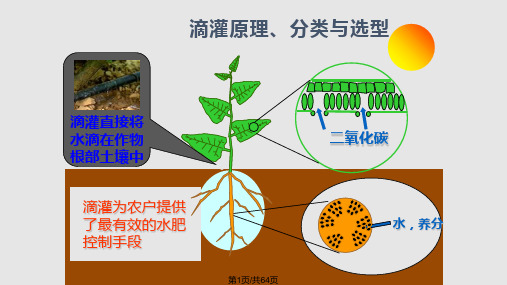 滴灌系统规划设计PPT课件