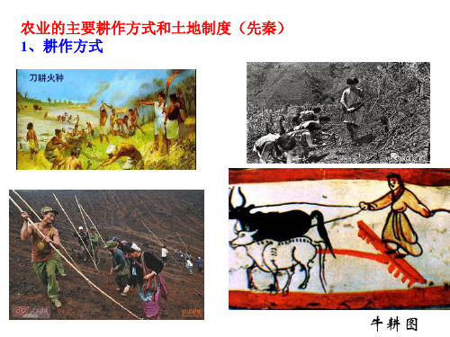 古代中国农业的主要耕作方式和土地制度,了解古代中国农业经济的基本特点(先秦)。 (1)