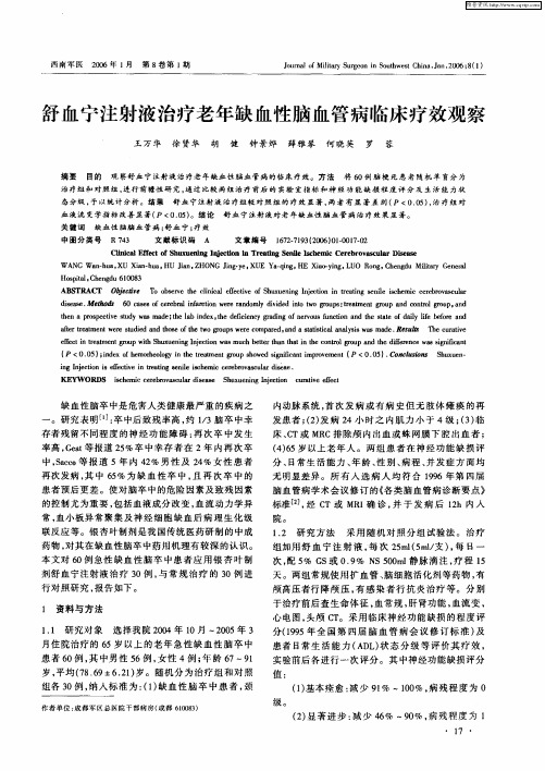 舒血宁注射液治疗老年缺血性脑血管病临床疗效观察