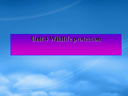 高考英语一轮复习 Book Two Unit 4 Wildlife Protection备考课件