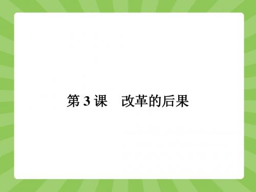 【志鸿优化设计-赢在课堂】(人教)2015高中历史选修1配套课件：6-3 改革的后果