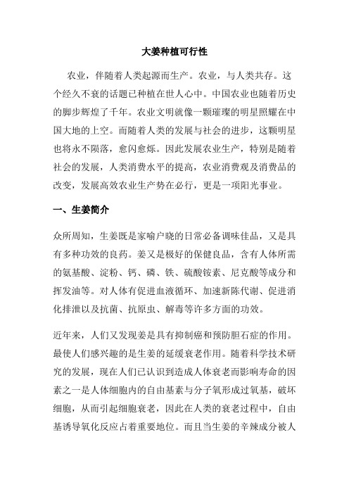 大姜种植可行性