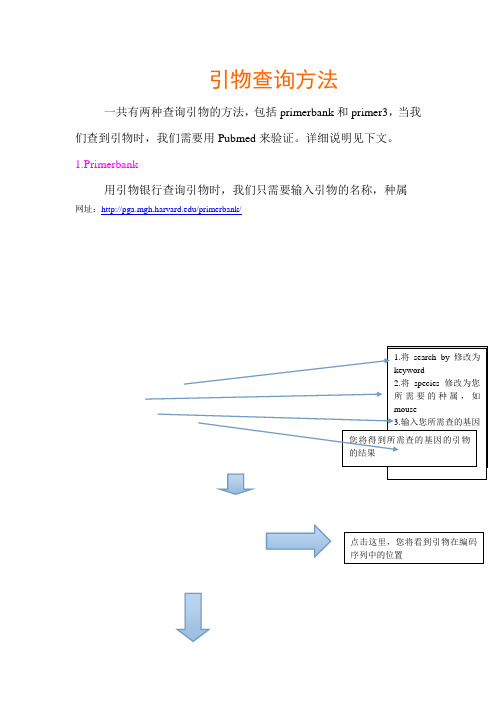 引物查询方法