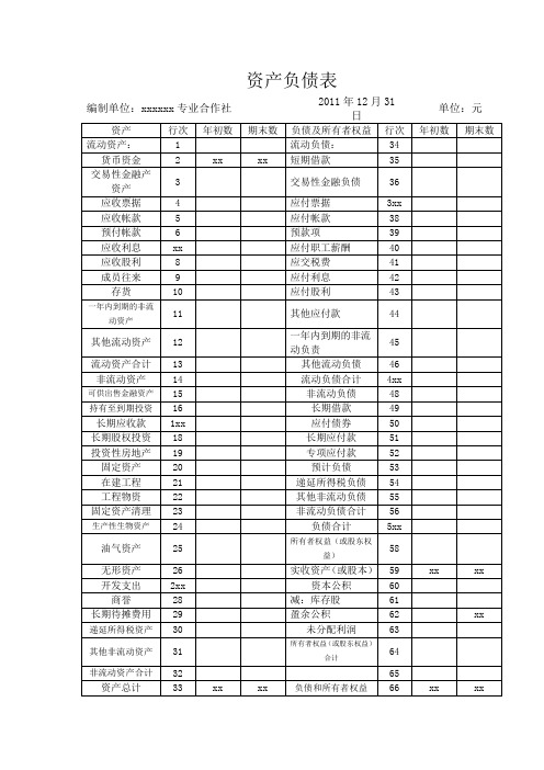 专业合作社资产负债表