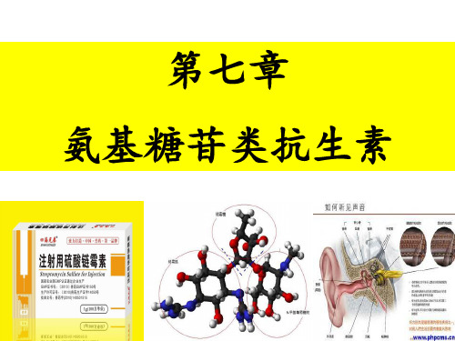 第7章 氨基糖苷类抗生素