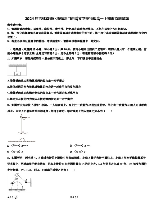 2024届吉林省通化市梅河口市博文学校物理高一上期末监测试题含解析