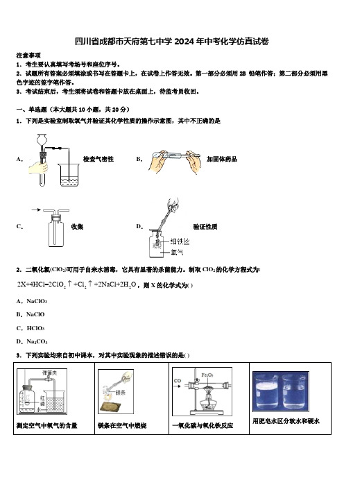 四川省成都市天府第七中学2024届中考化学仿真试卷含解析