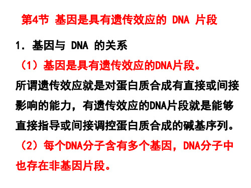 基因的本质及基因的表达