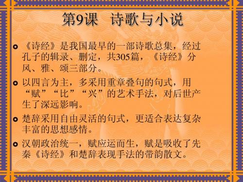 诗歌与小说
