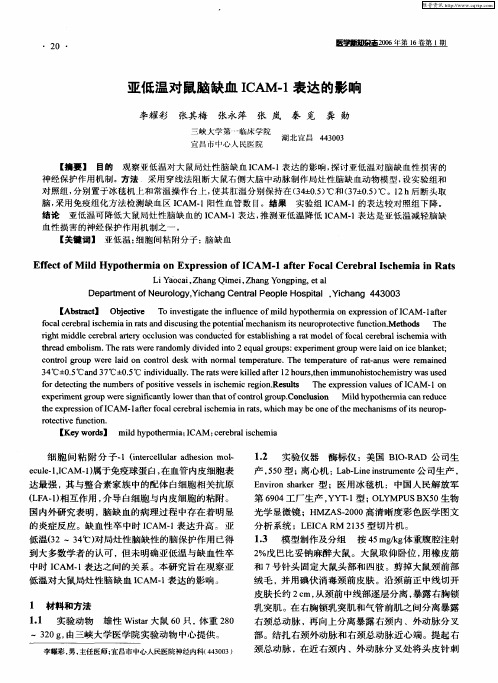 亚低温对鼠脑缺血ICAM-1表达的影响