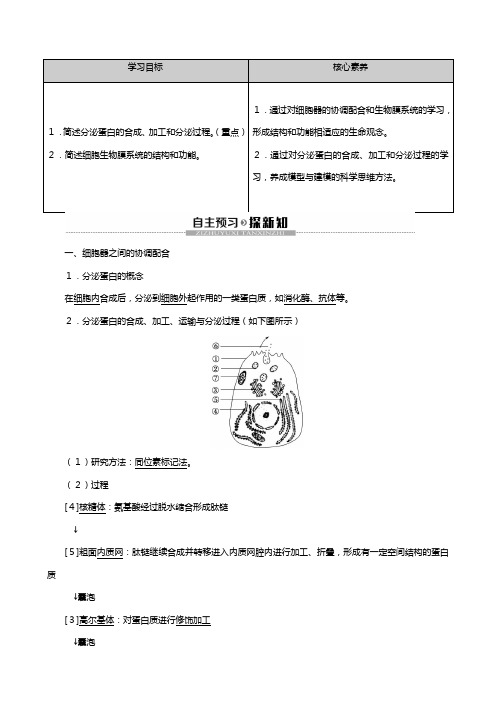 新人教版高中细胞器之间的协调配合和生物膜系统教案必修生物