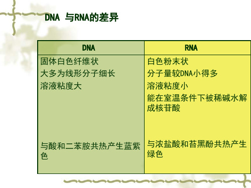 核酸的理化性质