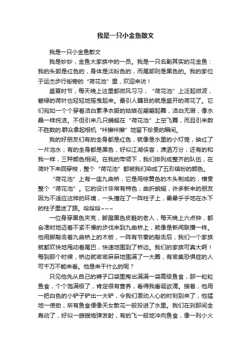 我是一只小金鱼散文