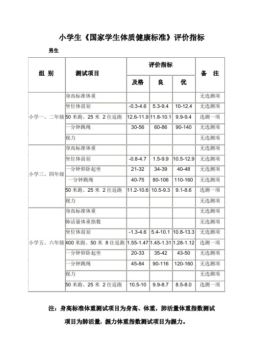 国家小学生体质健康标准(男 )