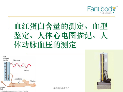 图解人体血型鉴定PPT课件