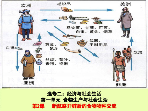 【统编教材】新航路开辟后的食物物种交流教研课件1