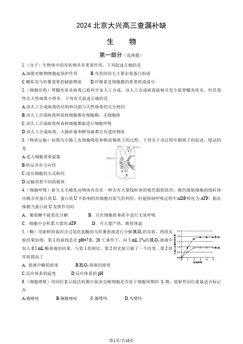 2024北京大兴高三查漏补缺生物(教师版)