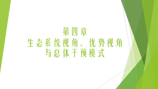 人民大2024社会工作实务(第三版)PPT第四章 生态系统视角、 优势视角与总体干预模式