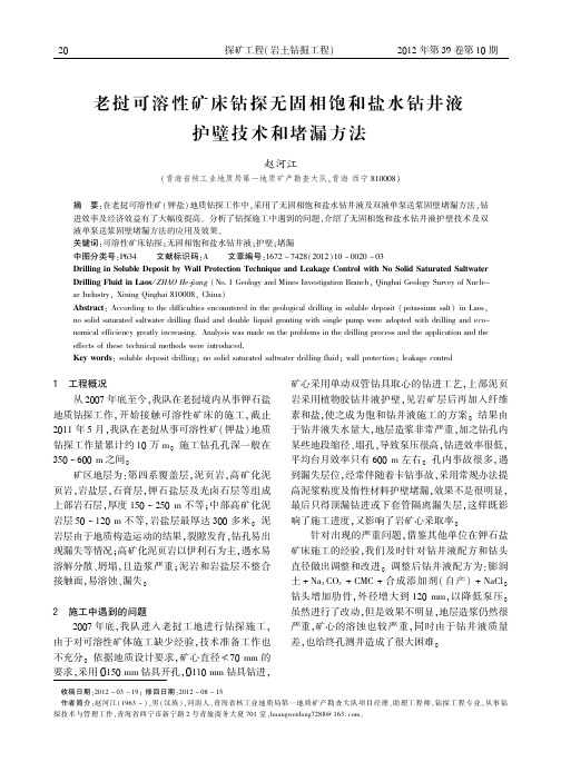 老挝可溶性矿床钻探无固相饱和盐水钻井液护壁技术和堵漏方法