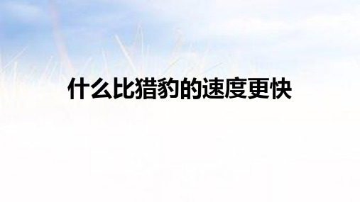 统编版语文五年级上册7《什么比猎豹的速度更快》(课件)