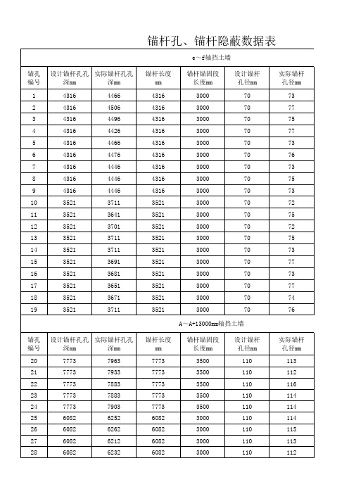 锚孔数据表