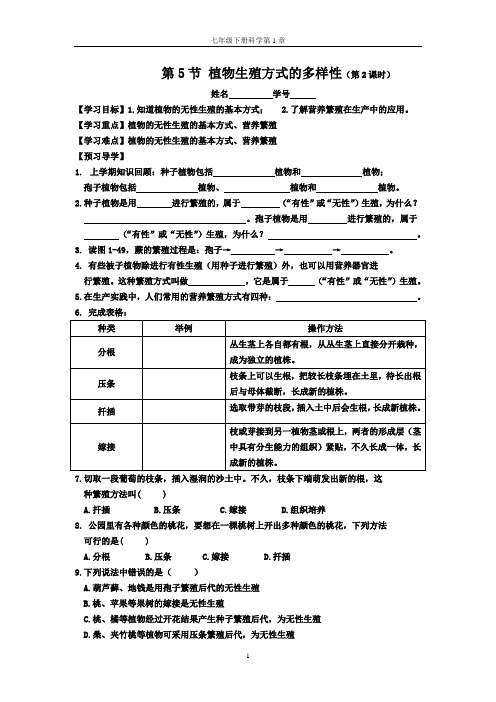 第5节植物生殖方式的多样性第2课时