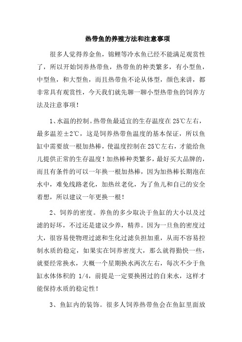 热带鱼的养殖方法和注意事项