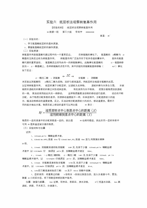 实验六纸层析法观察转氨基作用实验报告课件.doc