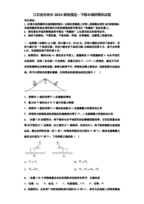 江苏省苏州市2024届物理高一下期末调研模拟试题含解析