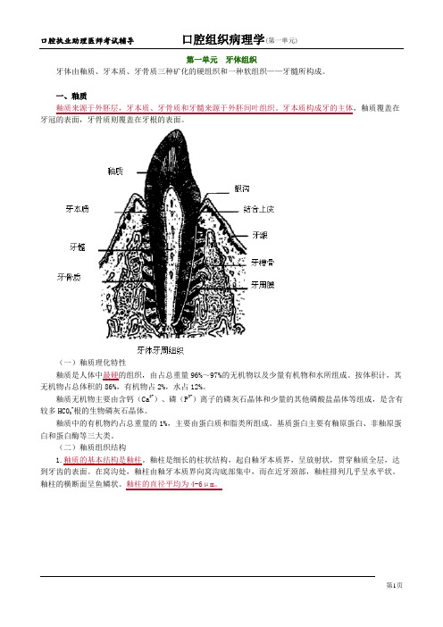 口腔组织病理学 第一单元 牙体组织