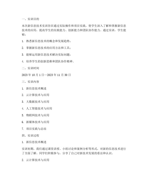 新信息技术实训报告单