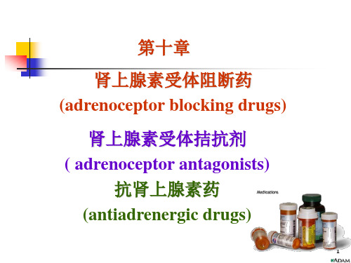 第10章.肾上腺素受体阻断药--药学本科(案例版)