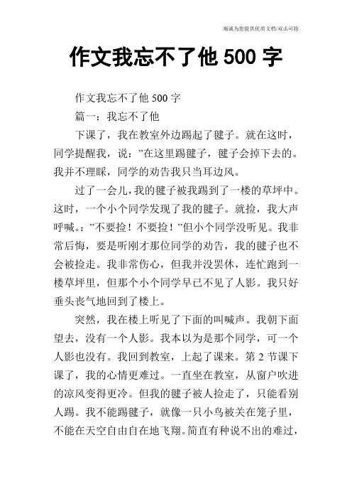 作文我忘不了他500字